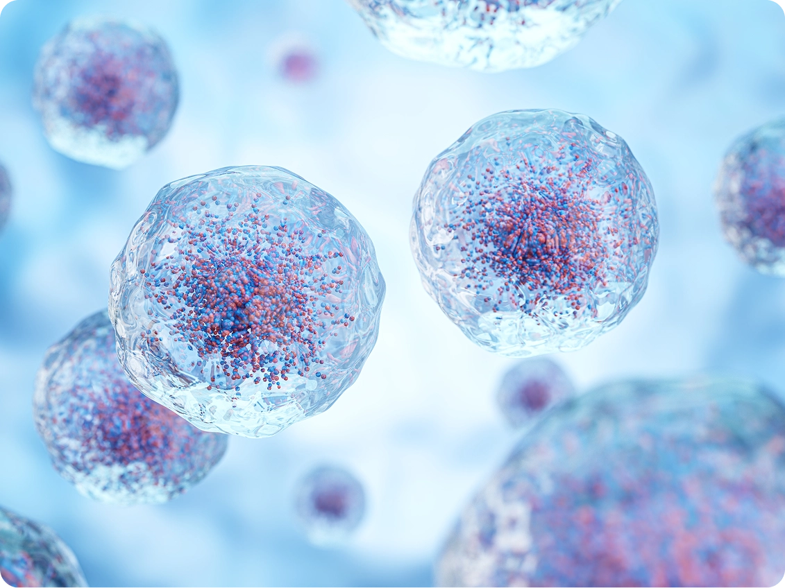 The Shield That Supports Not Interrupts